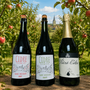 Cidre Breton FERMIER St Nicolas