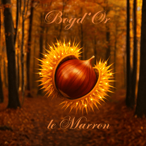 Bogd’Or Le marron à Redon