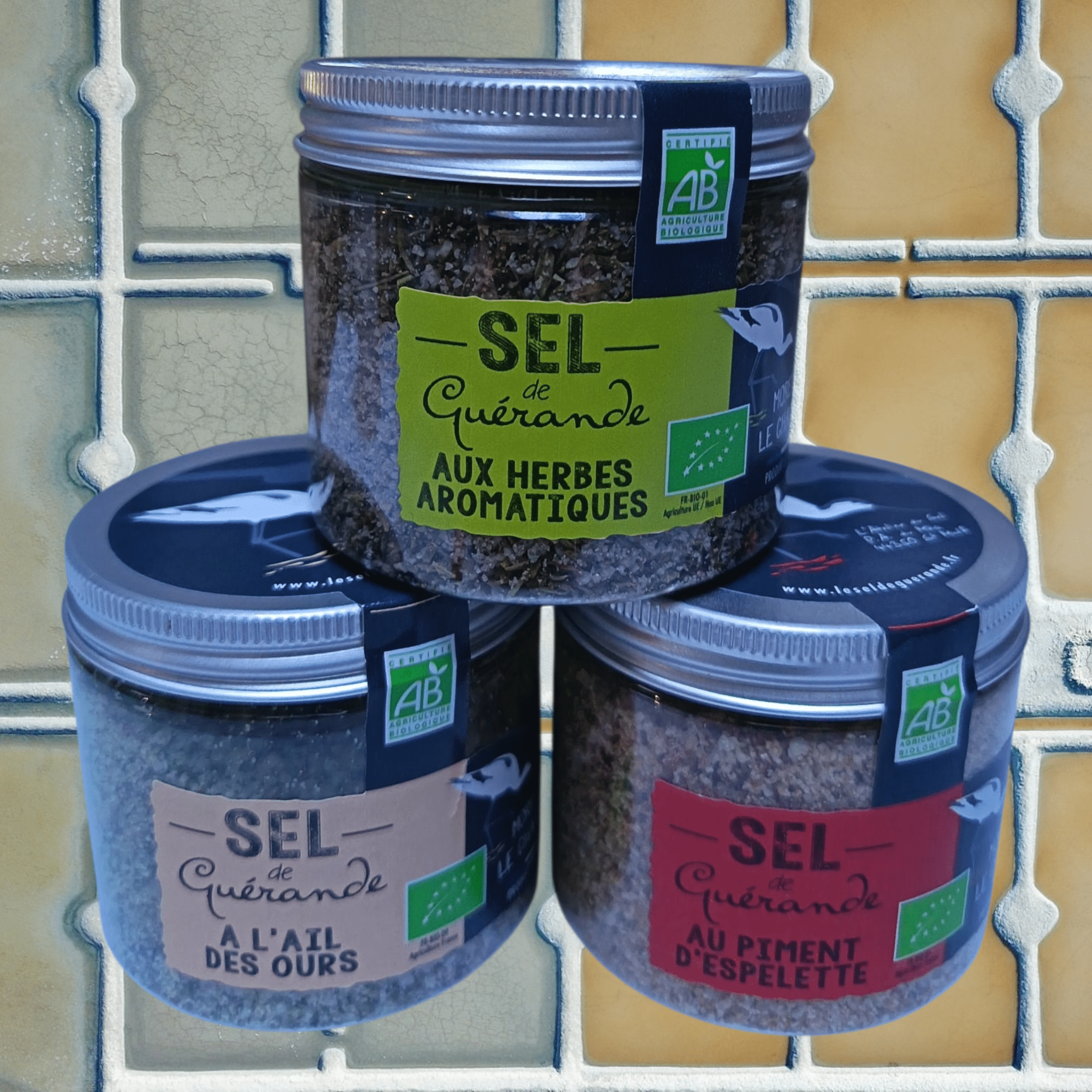 Sel aromatisé pour viande