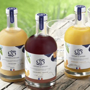 Gingembre concentré BIO